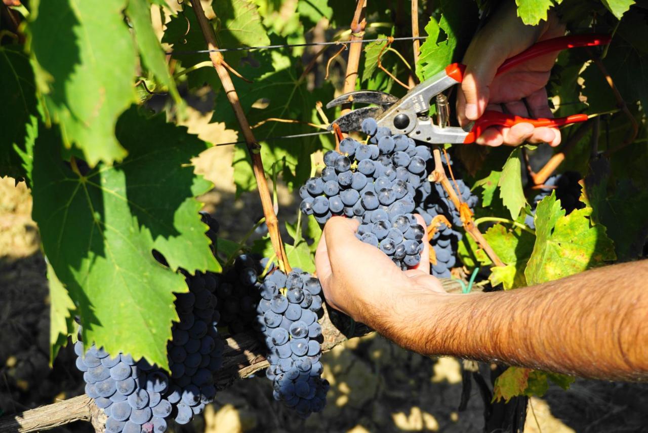 Willa Fattoria Lornano Winery Monteriggioni Zewnętrze zdjęcie