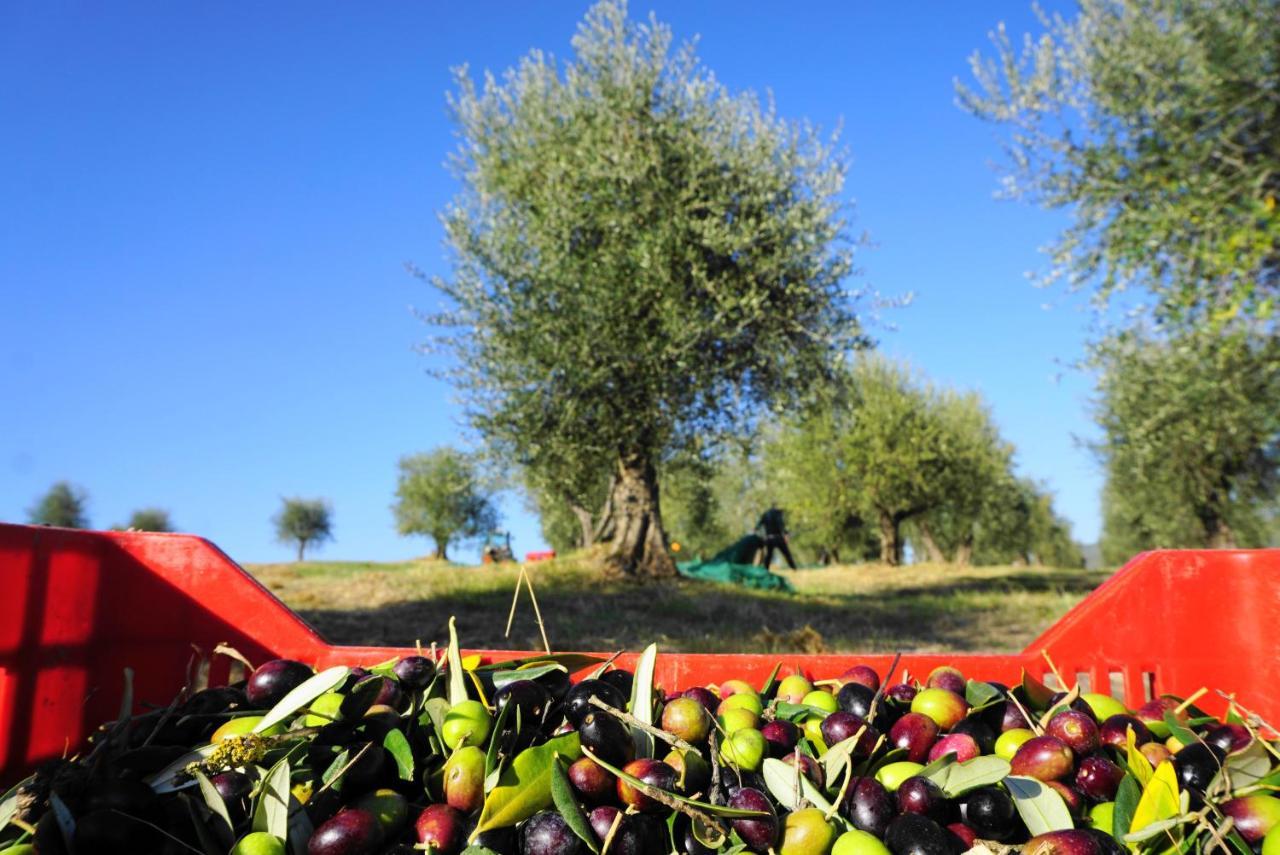 Willa Fattoria Lornano Winery Monteriggioni Zewnętrze zdjęcie