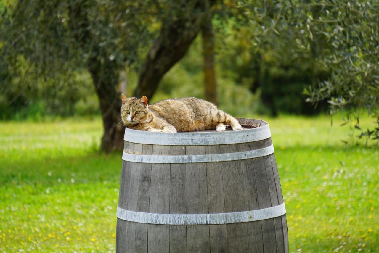 Willa Fattoria Lornano Winery Monteriggioni Zewnętrze zdjęcie